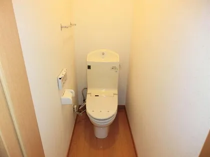 ウエルス西野【301号室】の内装