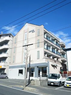 晴和ビル【301号室】の外観