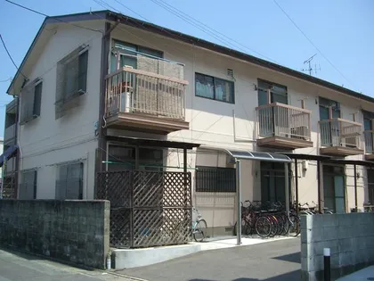 オリーブの木の画像