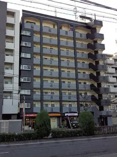 シャンボール朝日の画像