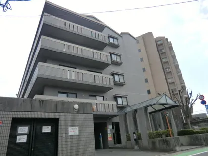 コンチェルト長尾の画像