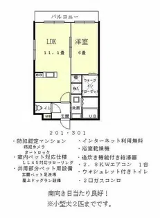 アニマーレ出来島ステーション【2階】の間取り