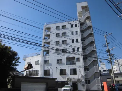 ホープ流星の画像