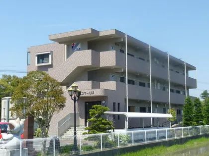 エスマール杉の画像