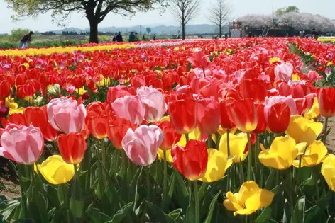 磯光アパート【2階】の外観