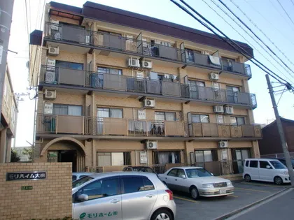 モリハイム大桐の画像