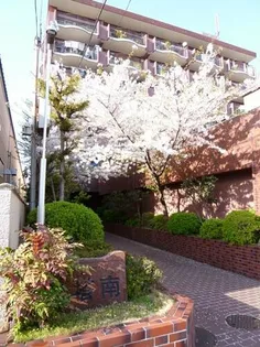 サニーハイツ塔南の画像