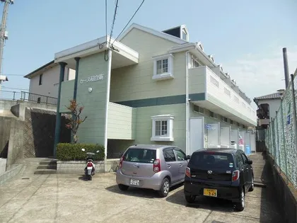 アールグレイ和白東の画像
