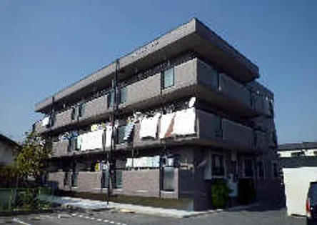 ロイヤルグリーンの画像