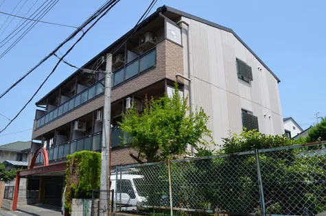 ゾルメゾンの画像