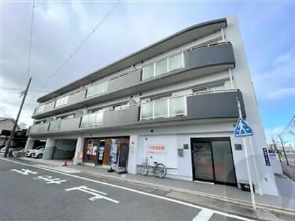 フォーサイトの画像