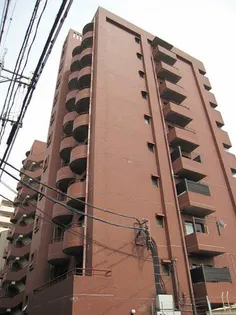 サンロイヤル黄金の画像