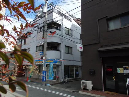 パラストミキの画像