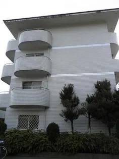 シャトー立田川【3階】の外観