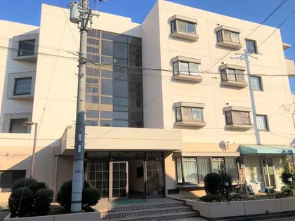 大阪府堺市中区深井水池町【マンション】の外観