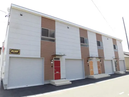 オリーブの画像