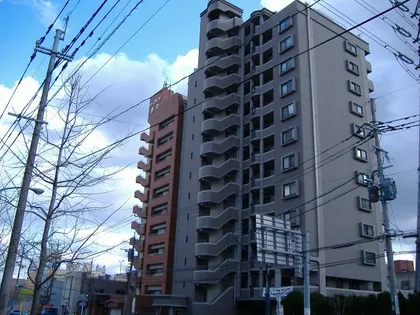 エリアグリーンの画像