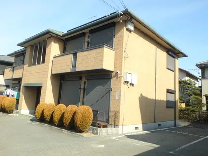 バリュージュヴィオラの画像