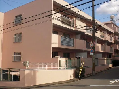 テラジハイツ3号館の画像