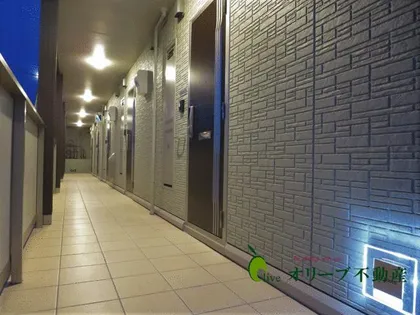 COMFORT PLUSの画像