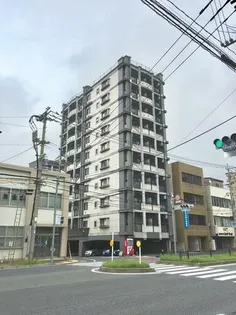 ニューサンリバー10番館【8階】の外観