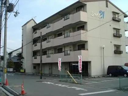 シャトレ21の画像