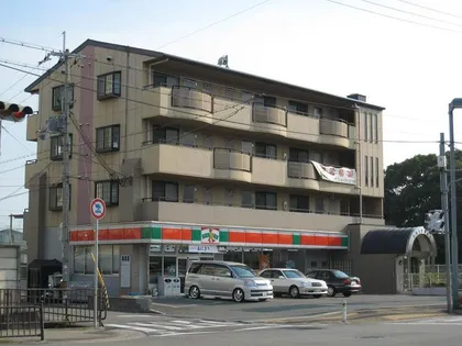 エリーナ2の画像