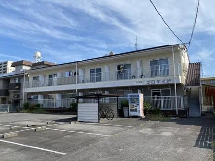 ブロケイドの画像