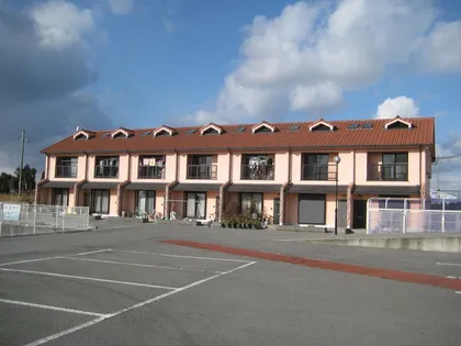 コートマンダリヌの画像