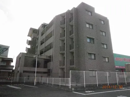 シベール柏の森の画像