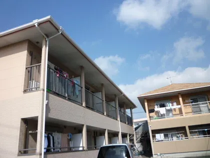 アプリコットの画像