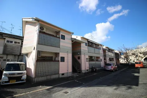 ピンクフラミンゴの画像