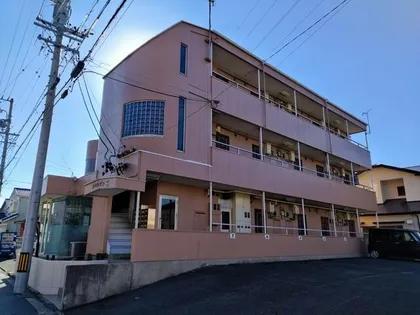 ジャルダンSの画像