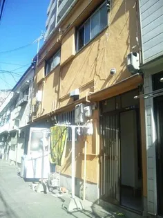 カミムラ文化の画像