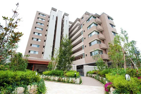 アメックス博多筑紫通りの画像