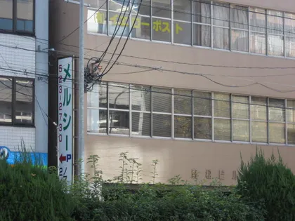 ノマツビルの画像