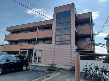 ロイヤルレインボー中主の画像