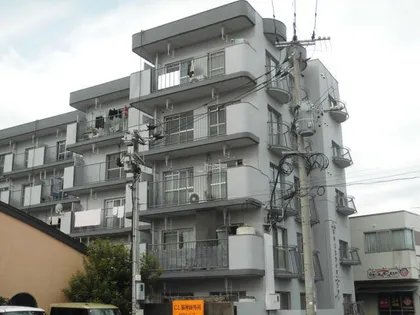 天籟寺川スカイマンションの画像