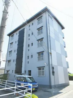 SAL橘の画像