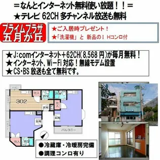 プライムプラザ【3階】の間取り