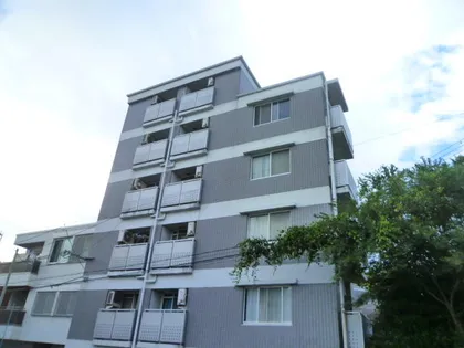 大阪府吹田市長野東【マンション】の外観