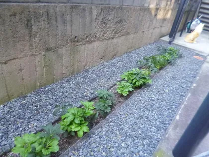 ヴィラージュ甲南山手【1階】のその他画像