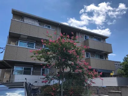 グリーンフォレスト中原【2階】の間取り