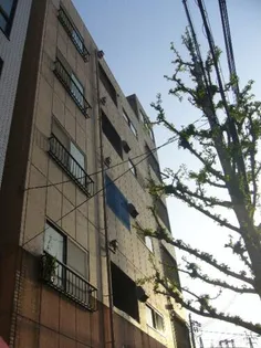 サンネ岡本の画像