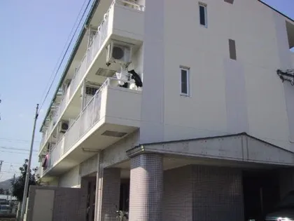 大阪府箕面市西小路1丁目【マンション】の外観