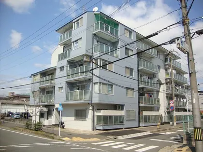 グランドハイツドリーム【4階】の外観