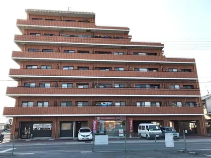 セントポーリアⅠの画像