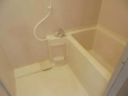 レイクタウン坪見【A202号室】の風呂