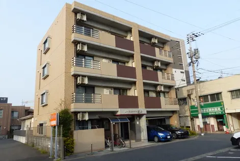 ノースステイツ徳力の画像