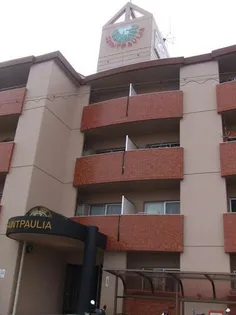 セントポーリアの画像